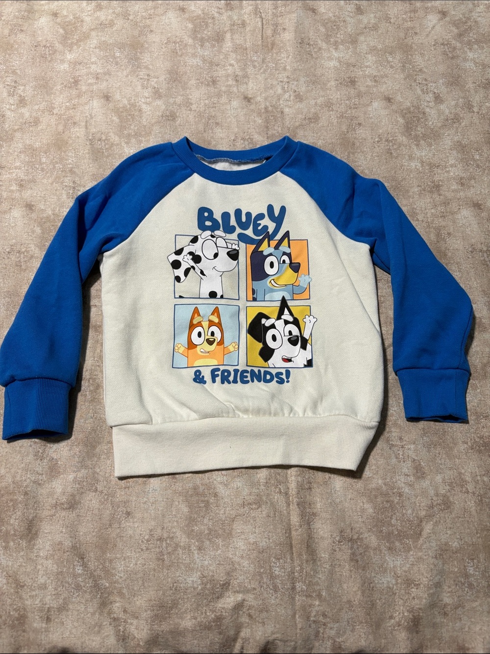 jumping beans Blue and White Bluey & Friends Raglan Sweatshirt